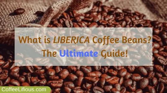 What is Liberica coffee beans