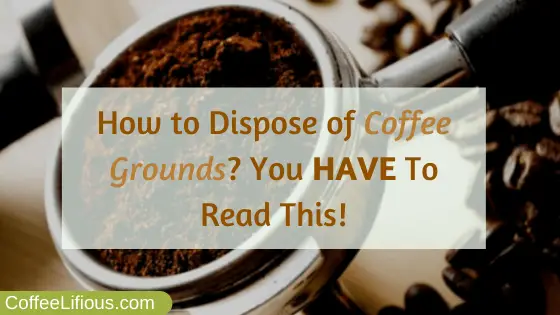 How to dispose of coffee grounds